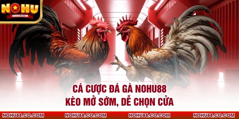 Cá Cược Đá Gà Nohu88 Kèo Mở Sớm, Dễ Chọn Cửa