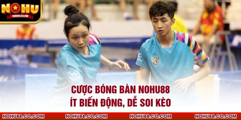 Cược Bóng Bàn Nohu88 Ít Biến Động, Dễ Soi Kèo