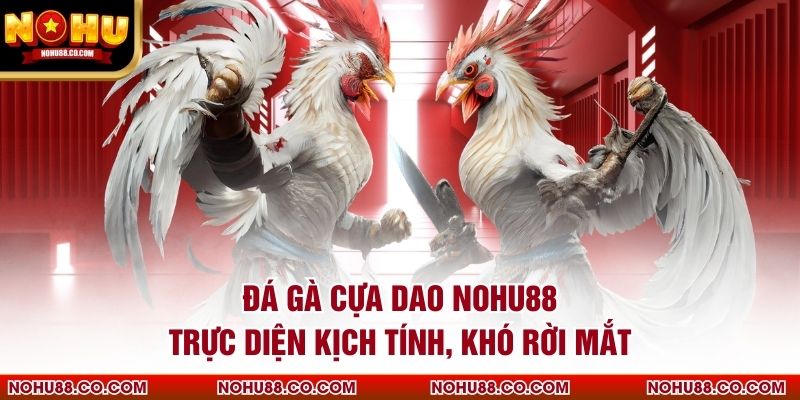 Đá Gà Cựa Dao Nohu88 Trực Diện Kịch Tính, Khó Rời Mắt