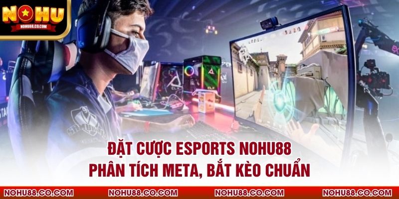 Đặt Cược Esports Nohu88 Phân Tích Meta, Bắt Kèo Chuẩn