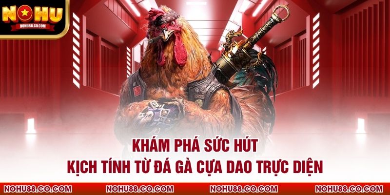 Khám phá sức hút kịch tính từ đá gà cựa dao trực diện