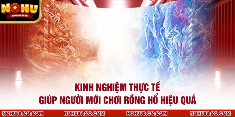 Kinh nghiệm thực tế giúp người mới chơi Rồng Hổ hiệu quả