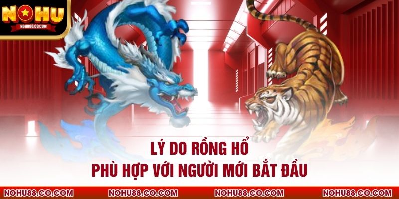 Lý do Rồng Hổ phù hợp với người mới bắt đầu