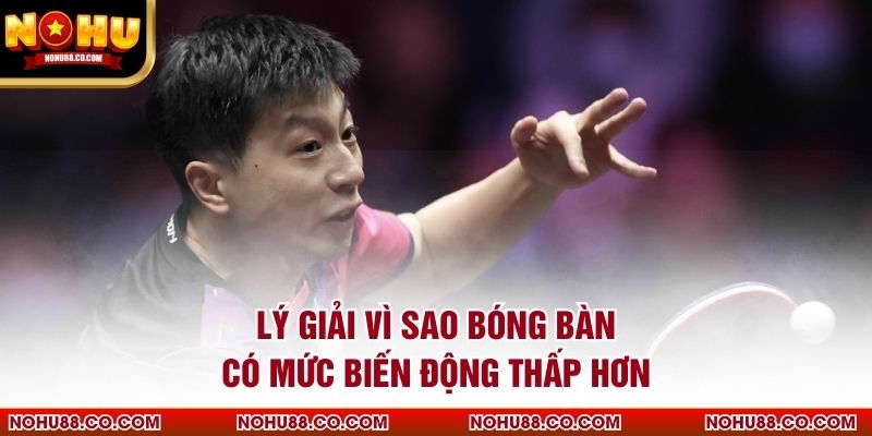 Lý giải vì sao bóng bàn có mức biến động thấp hơn