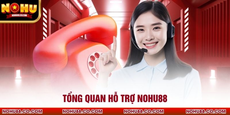 Tổng quan hỗ trợ Nohu88