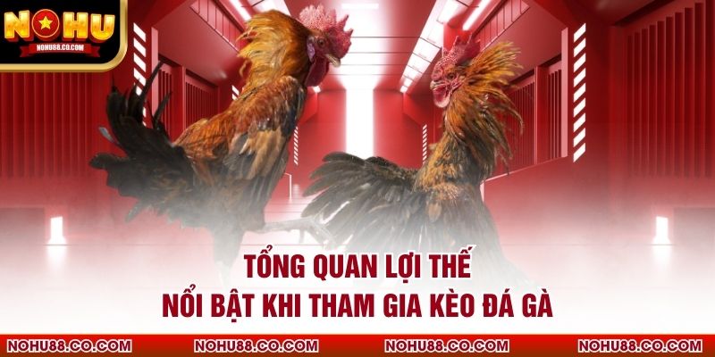 Tổng quan lợi thế nổi bật khi tham gia kèo đá gà