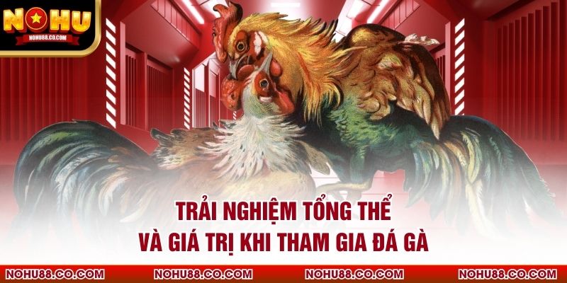 Trải nghiệm tổng thể và giá trị khi tham gia đá gà