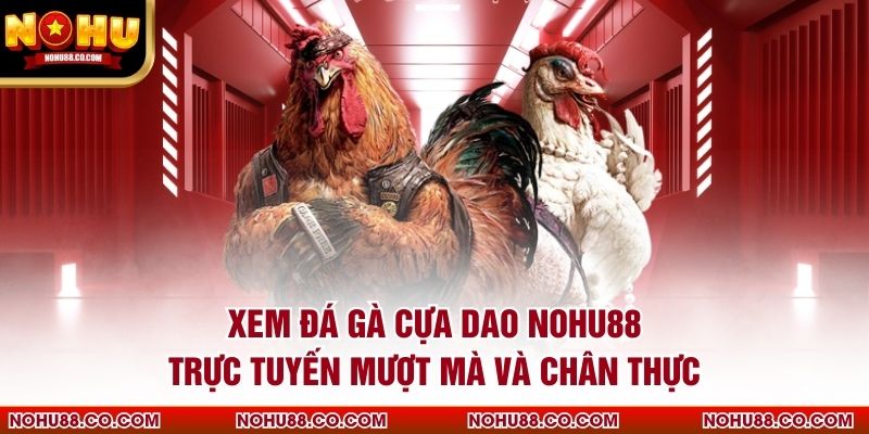 Xem đá gà cựa dao Nohu88 trực tuyến mượt mà và chân thực
